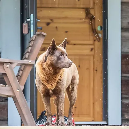 Ferienhaus Talasniemi By Interhome Hara